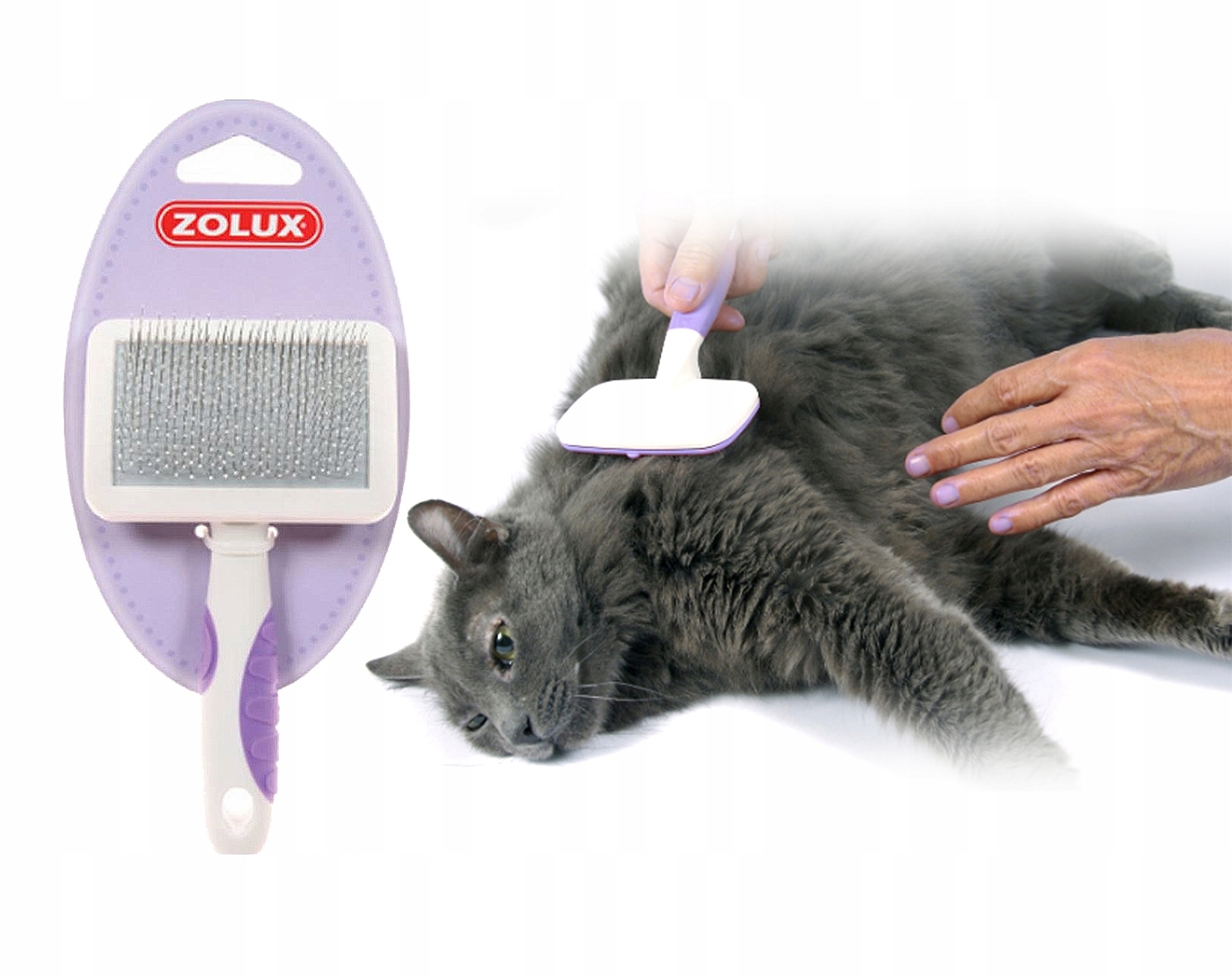 Лучшие расчески для кошек. Щетка Zolux для кошек. Щётка для котов для вычесывания шерсти. Расчёска для вычёсывания шерсти у кошек. Расчёска для вычесывания шерсти у пушистых кошек.