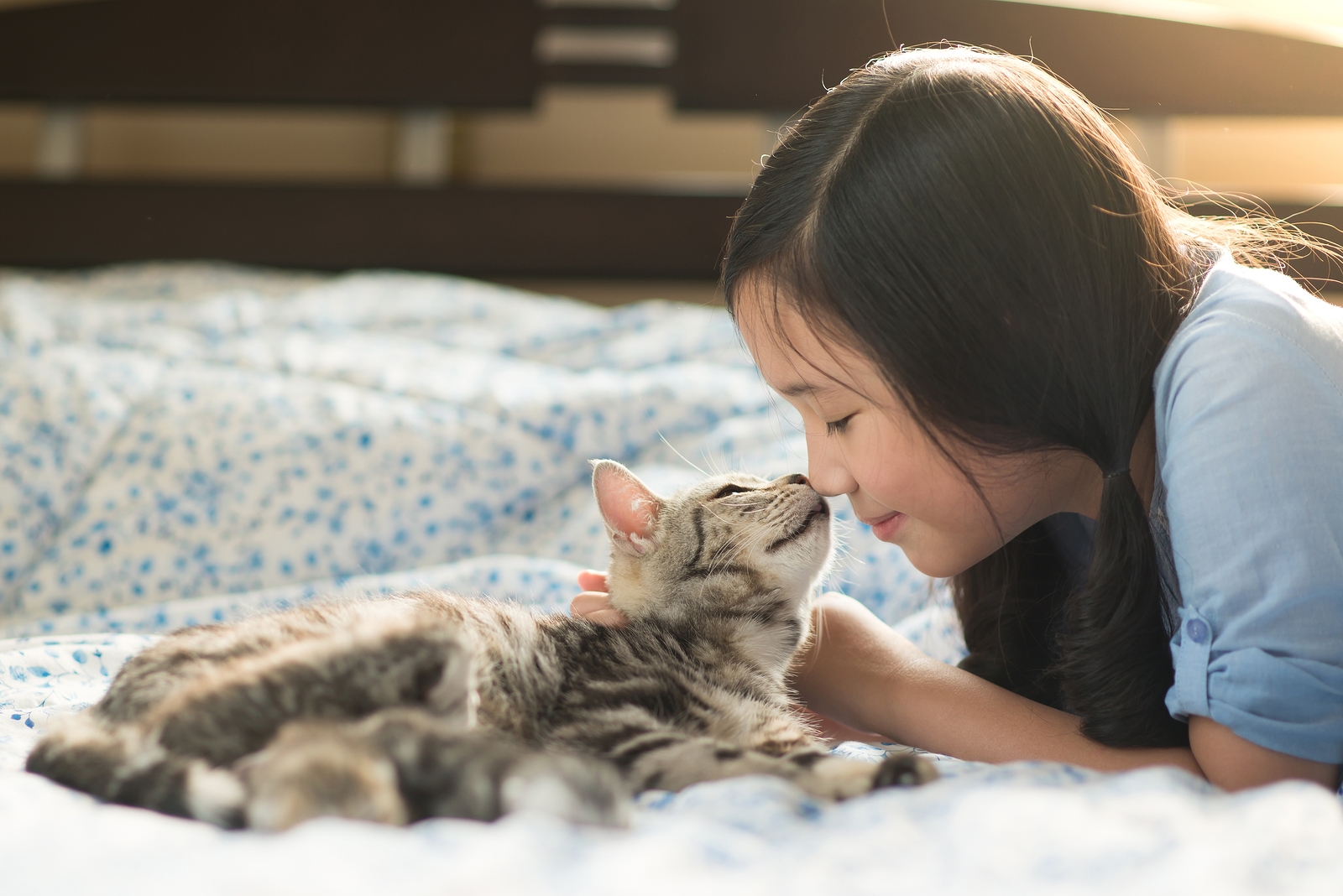 Люди кошки психология. Девочка обнимает кошку. Котенок и человек. Котенок и хозяйка.