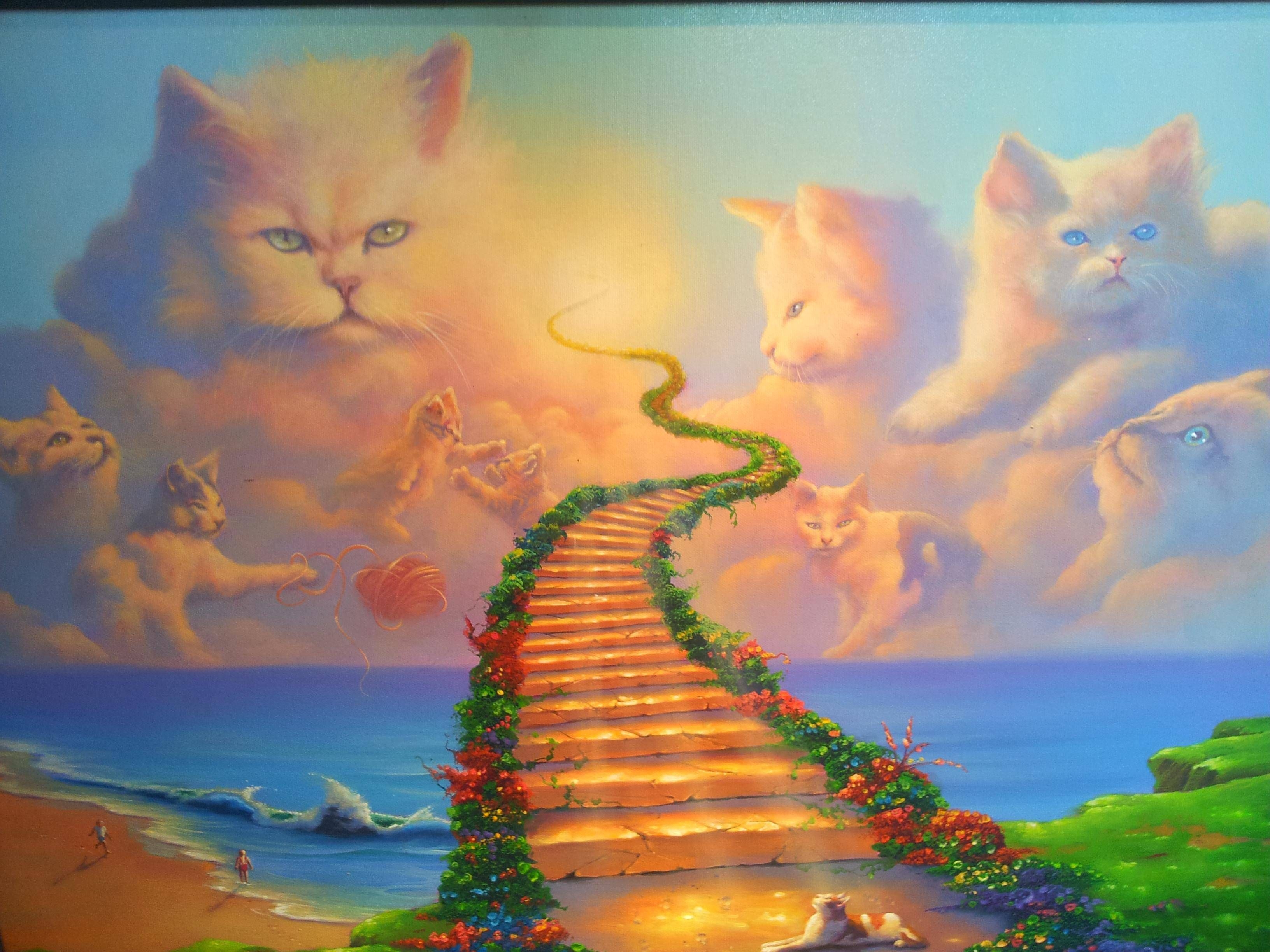 Ушедшие питомцы. Кошка на радуге. Кот с радугой. Кот ушел на радугу. Мягких облачков кошке.
