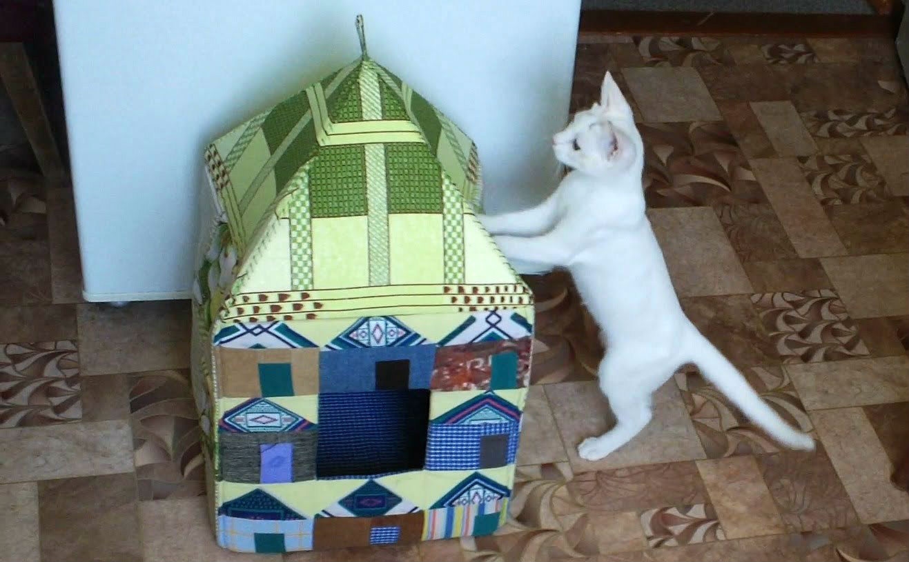 Сделать домик для кошек из коробок. Кошкин дом из коробки. Домик для кота. Домик для кошки из картонной коробки. Домик для кота из коробок.