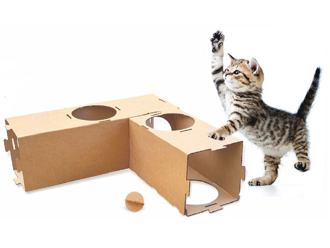 Домик для кота из коробок (82 фото)