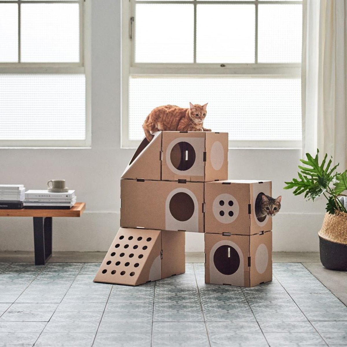 Домик для кошки своими руками из коробки. Картонные домики для котов. Домики для котов из коробок. Картонный домик для кошки. Кошачьи домики из коробок.