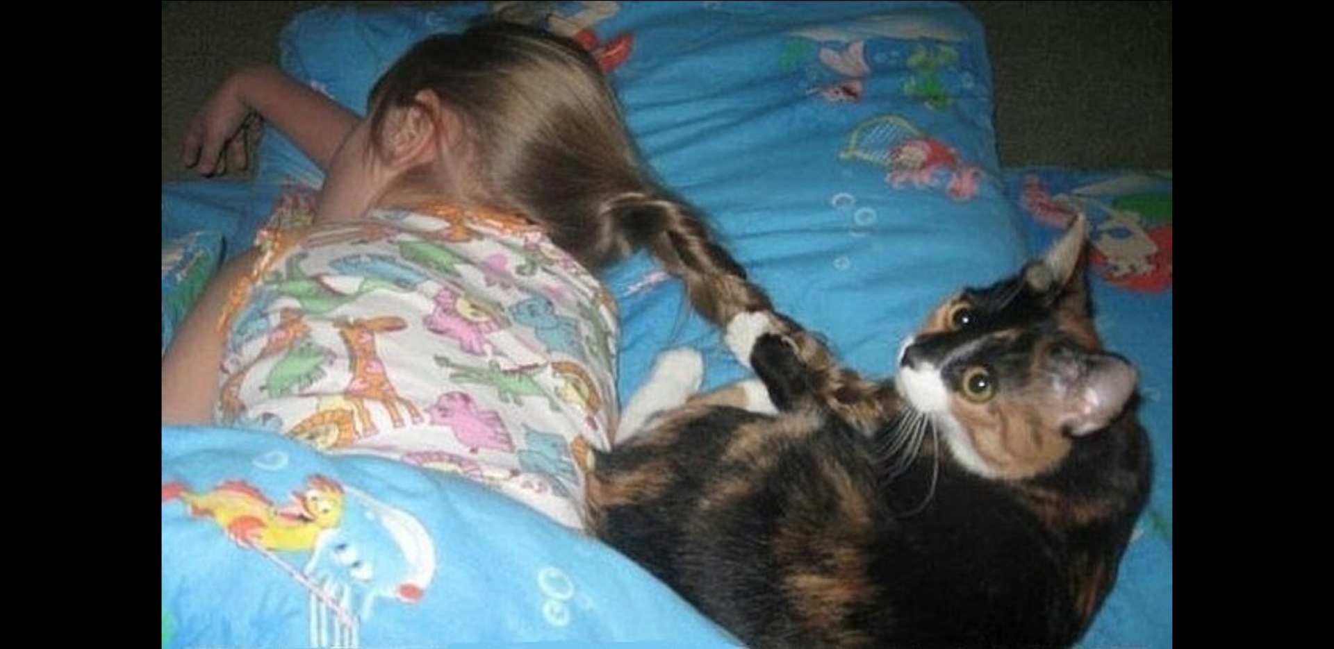 Дочка тоже есть. Кот пора вставать. Котоматрица рано утром. Смешные картинки про кошек с надписями. Проснулись картинки смешные.