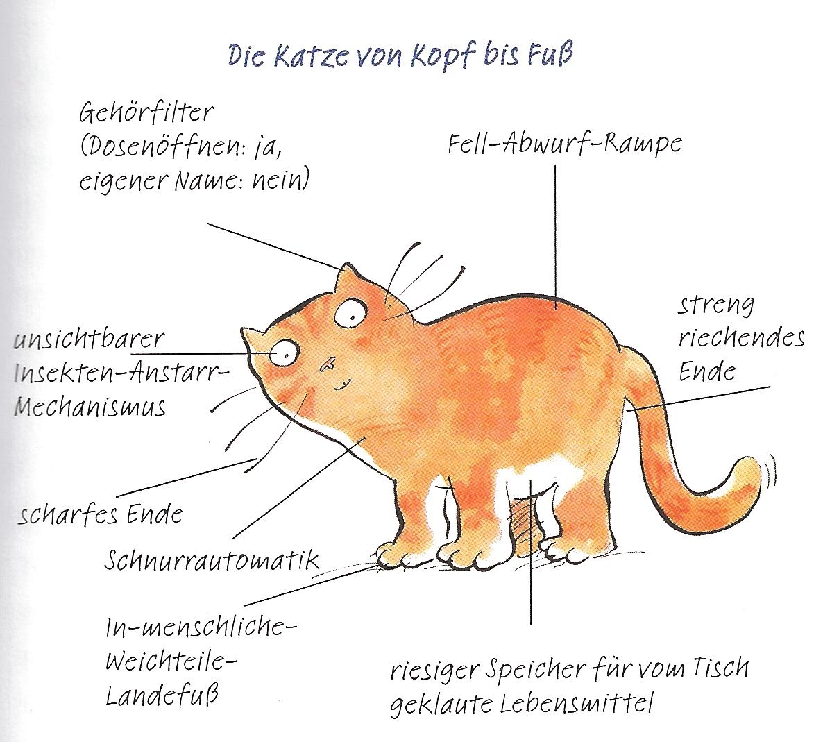 Части тела животных на немецком языке