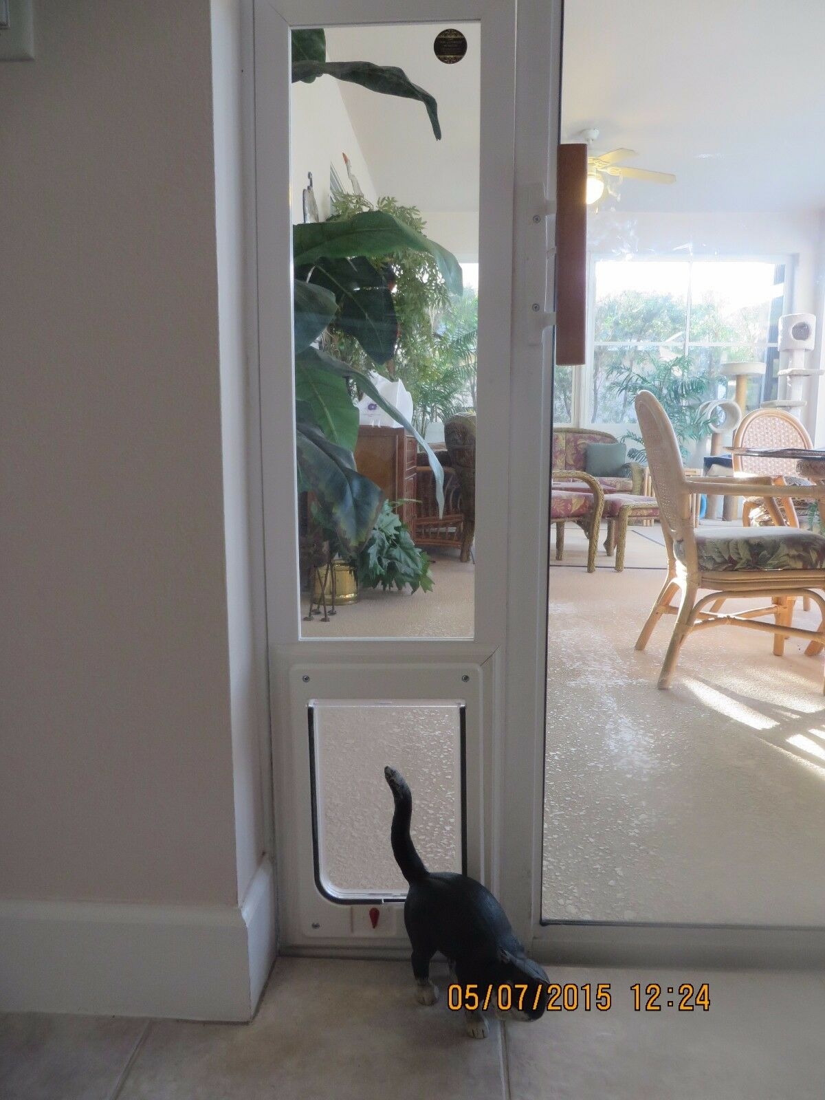 Пэт окно. Дверь для кошки в стеклопакете. Дверца для кошек в стеклянную дверь. ЛАЗ для кошки в двери. Окно для кошки в двери.