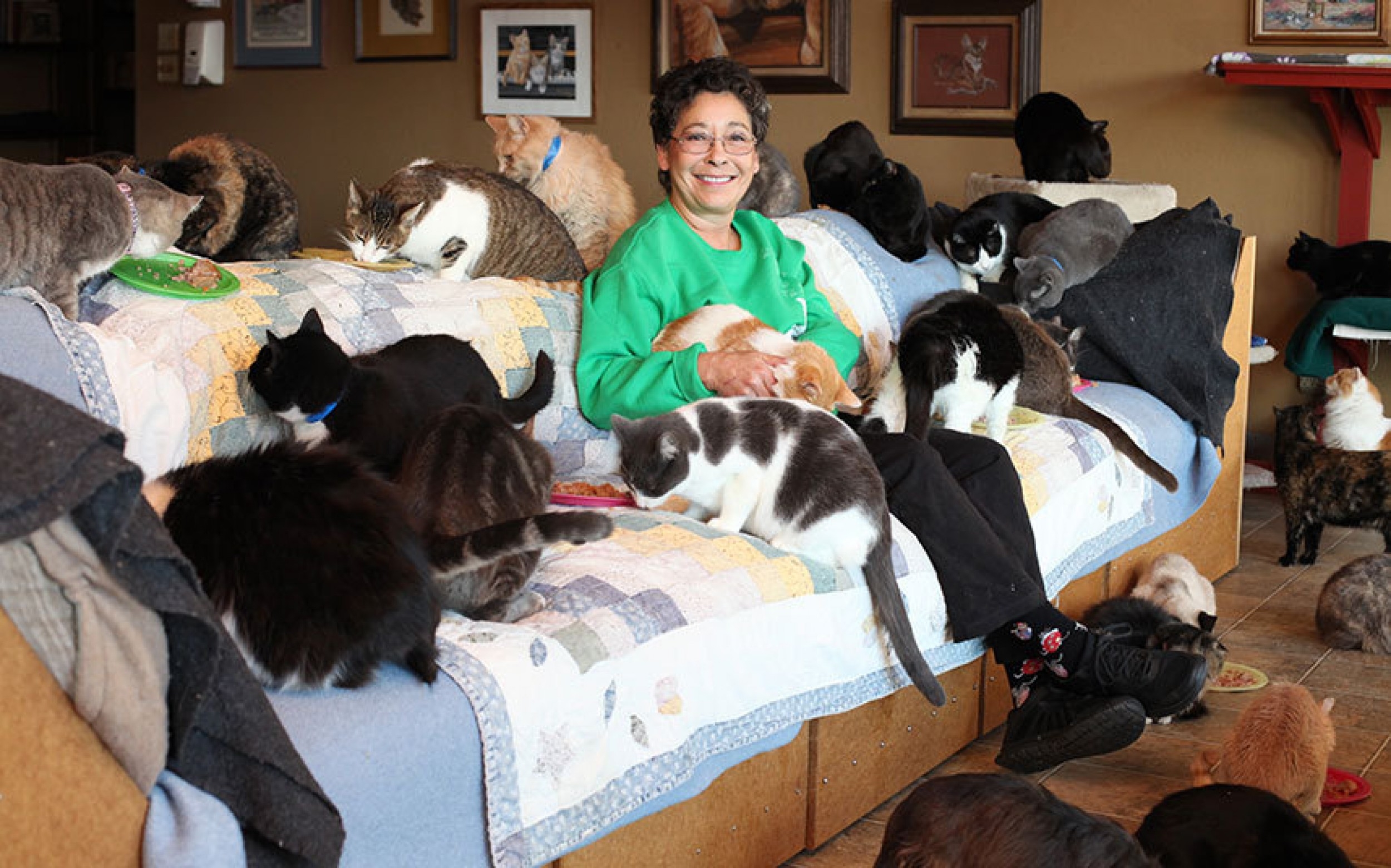 Cat parents. Линеа Латтанцио. Женщина с кучей кошек. Кошка дома. Много кошек в квартире.