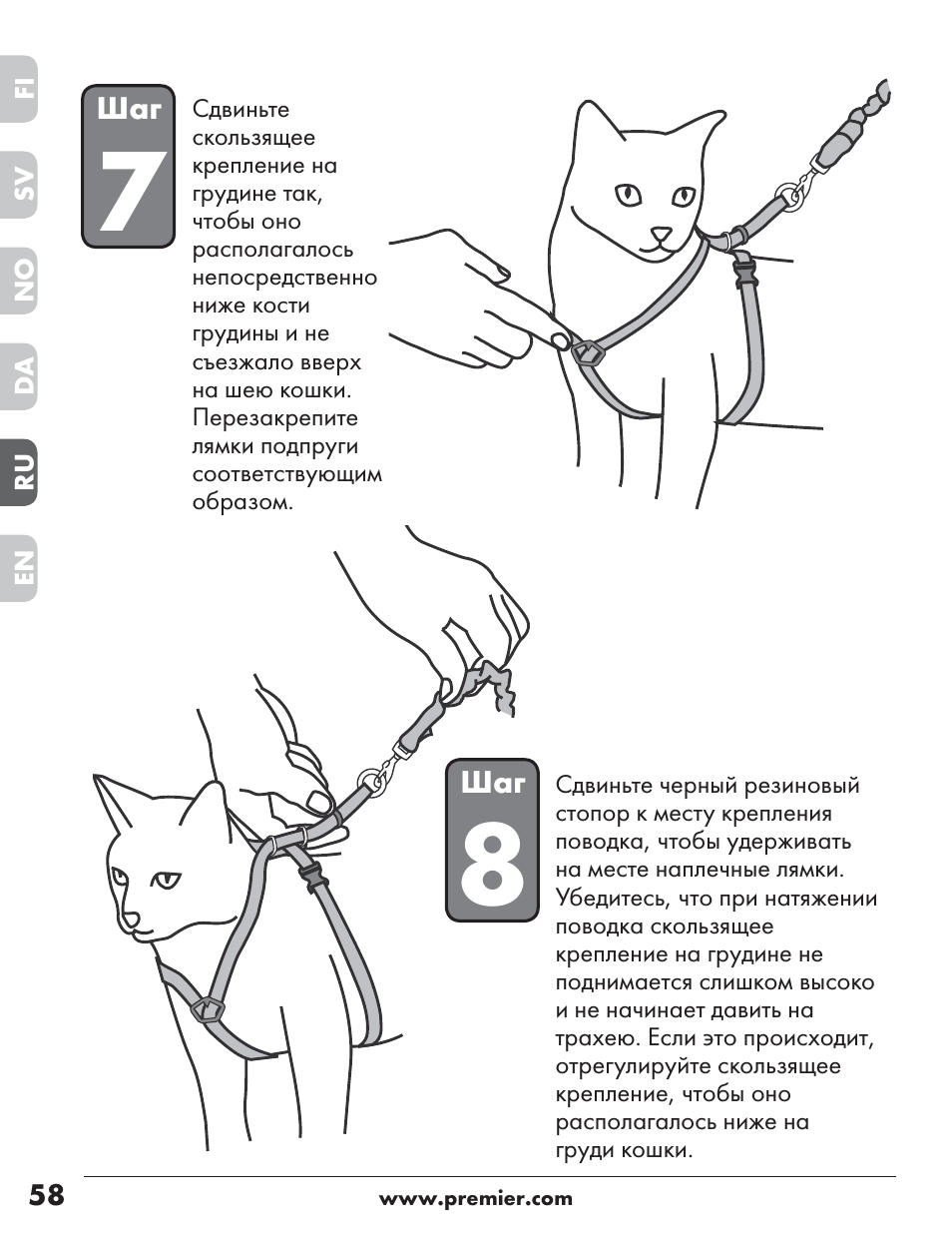 Схема шлейки для кошки - картинки и фото koshka.top