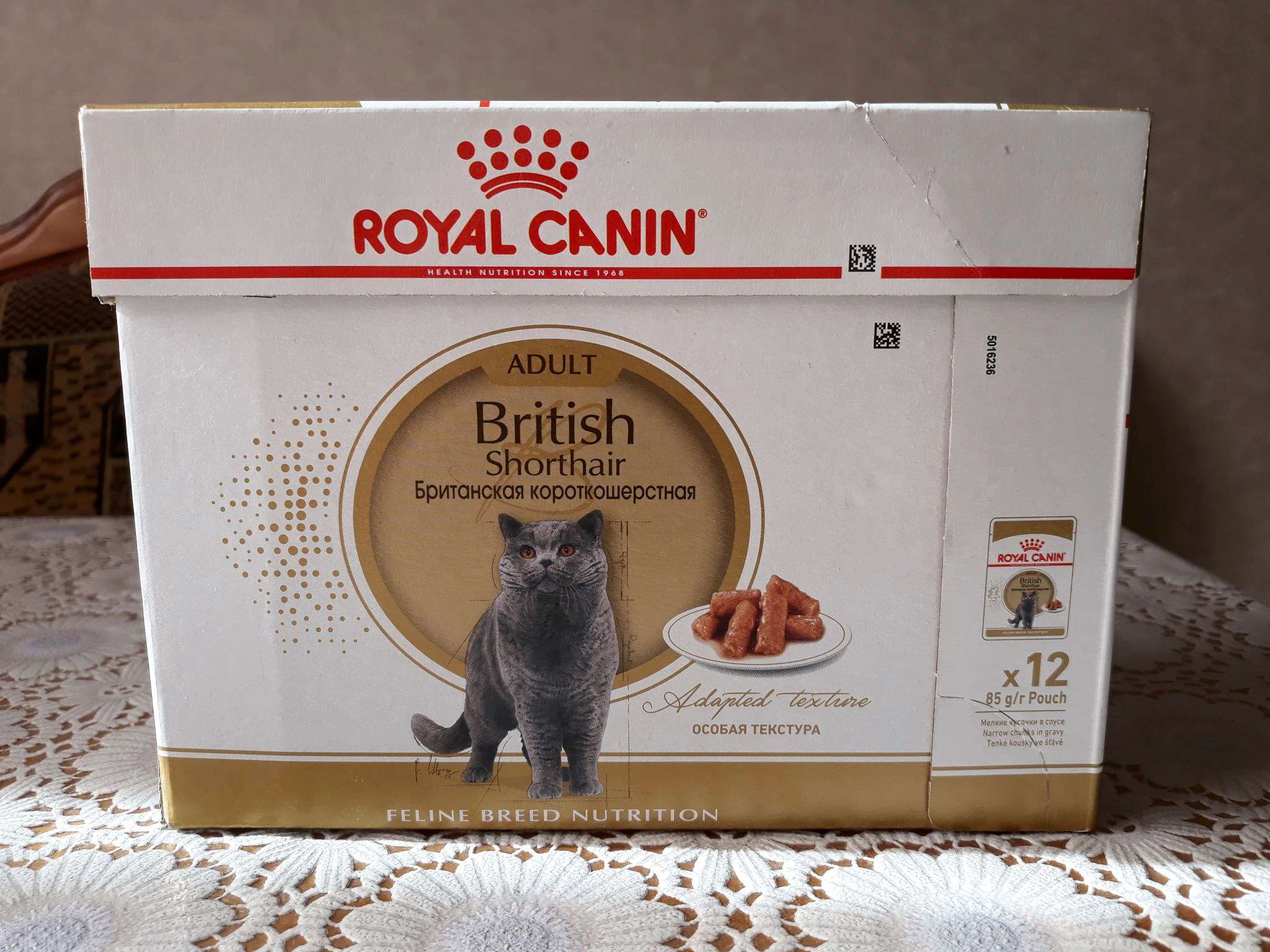 Royal canin british. Корм Роял Канин Британская короткошерстная. Роял Канин для британцев. Британская Эдалт про Роял Канин. Роял Канин для взрослых британцев.