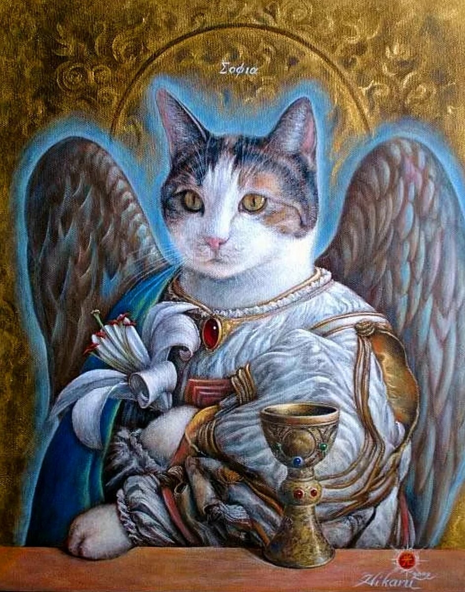 кошки ангелы фото