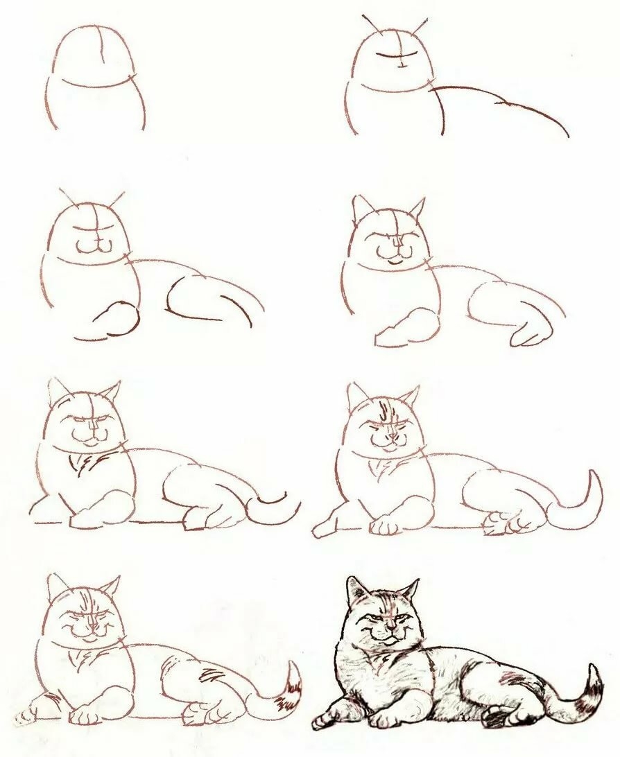 Как начать рисовать. Поэтапное рисование карандашом. Рисование кошки поэтапно. Кошка рисунок карандашом поэтапно. Кот рисунок карандашом поэтапно.