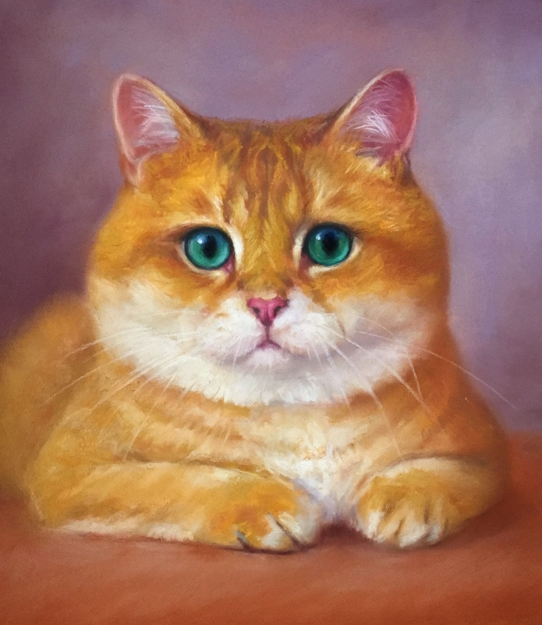 Милый котенок портрет