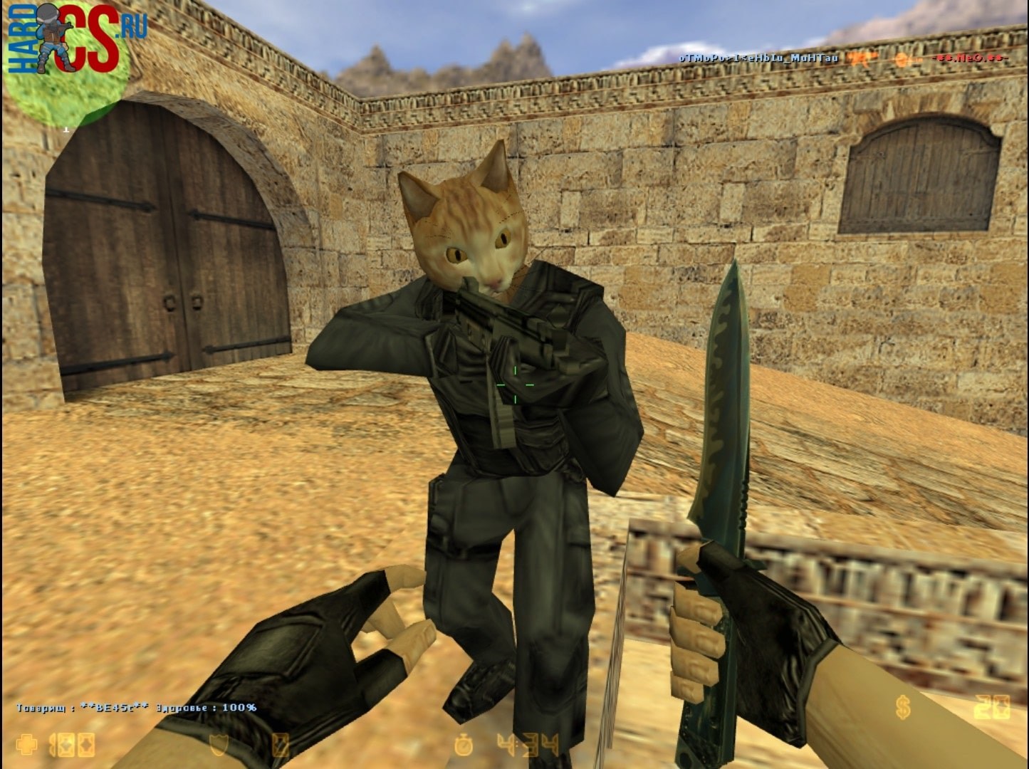 Strike cats. Браво КС 1.6 Фенг. Counter Strike 1.6. Кот КС 1.6. Кот для контр 1.6.