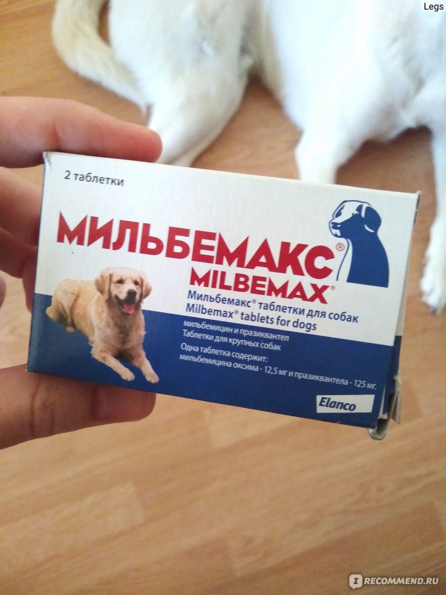 Собаке от глистов как часто. Глистогонное средство Мильбемакс для щенков. Глистогонка для собак Мильбемакс. Глистогонные препараты для собак Мильбемакс. Elanco Мильбемакс.