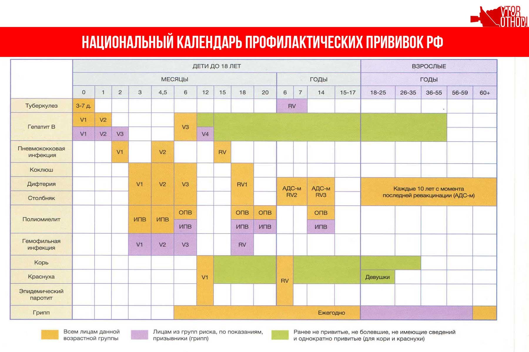 Вакцина в 1 год. Краснуха национальный календарь прививок. Эпидемический паротит национальный календарь прививок. Национальный календарь прививок для детей до 1 года в России. Календарь прививок для детей в России 2021 национальный календарь.