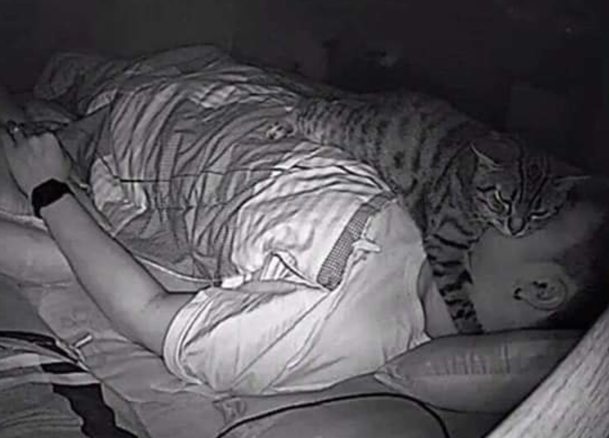 Кошка приходит спать. Кот дрыхнет. Кот ночью. Спящий парень и кот. Парни в кровати с кошкой.