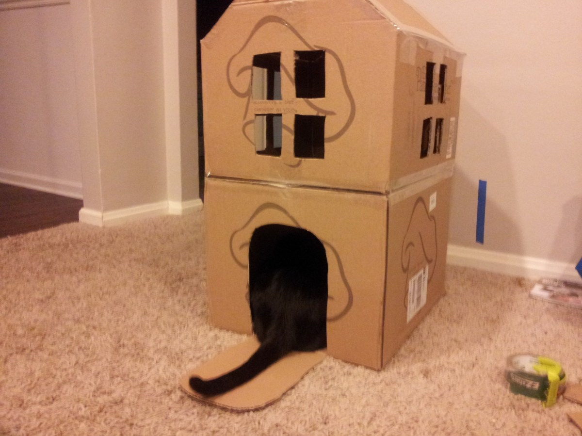 Домики для кошек из картонных коробок. Картонные домики для котов. Домик для кошки из картонных коробок. Картонный домик для собаки. Домик для кошки из картонной коробки.