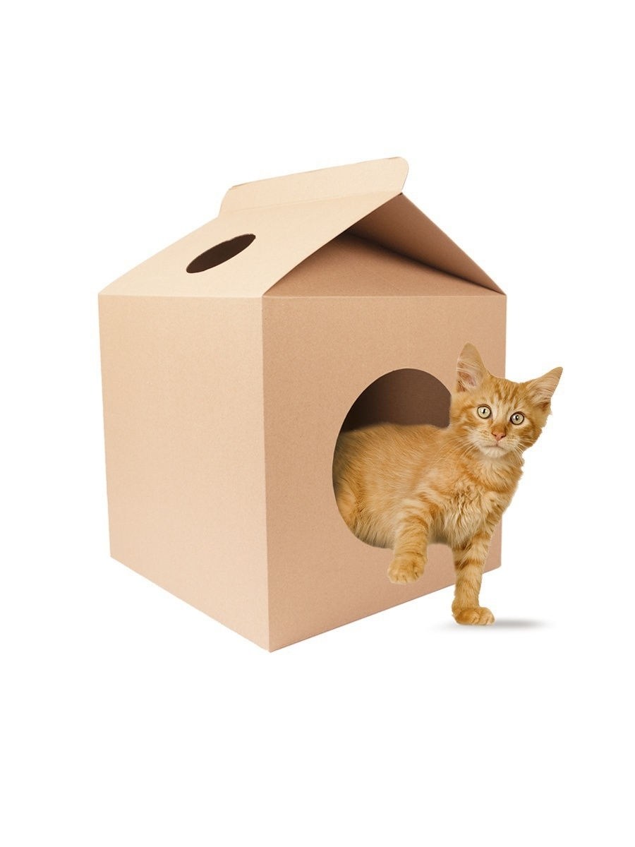 Дом для кота из коробки