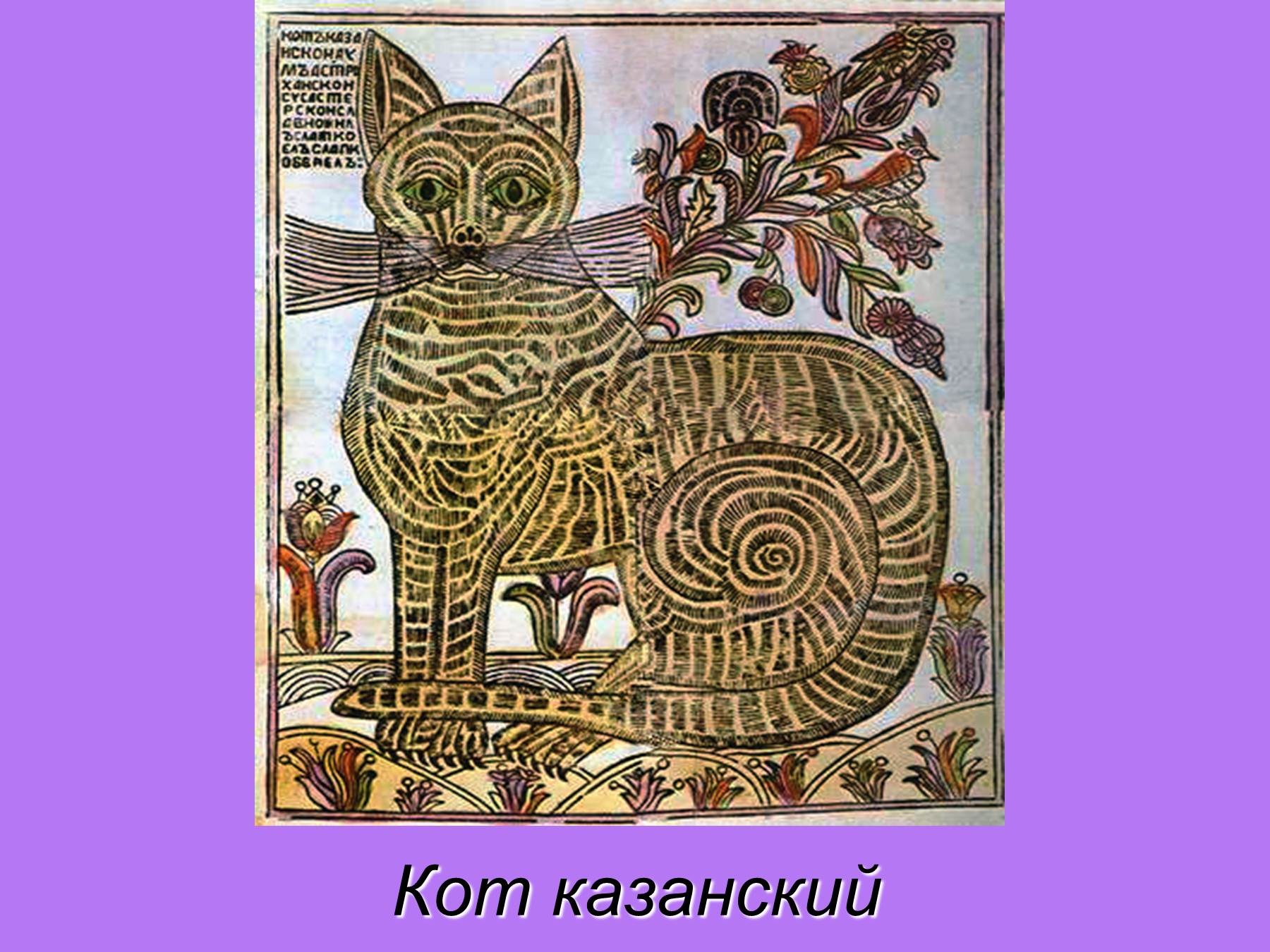 Кот казанский картинки