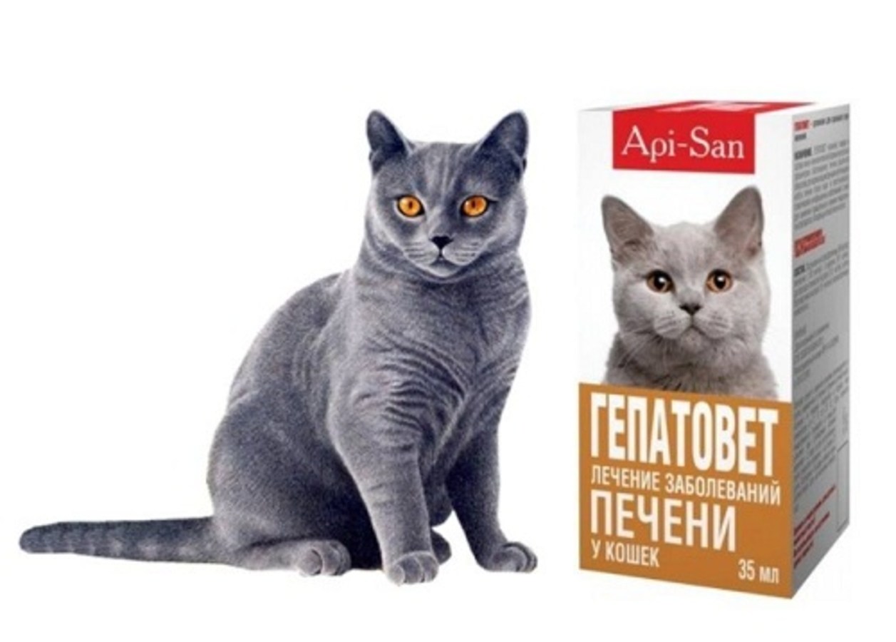 Гепатовет для кошек. Кошачий Гепатовет. Эссенциале для кошек.