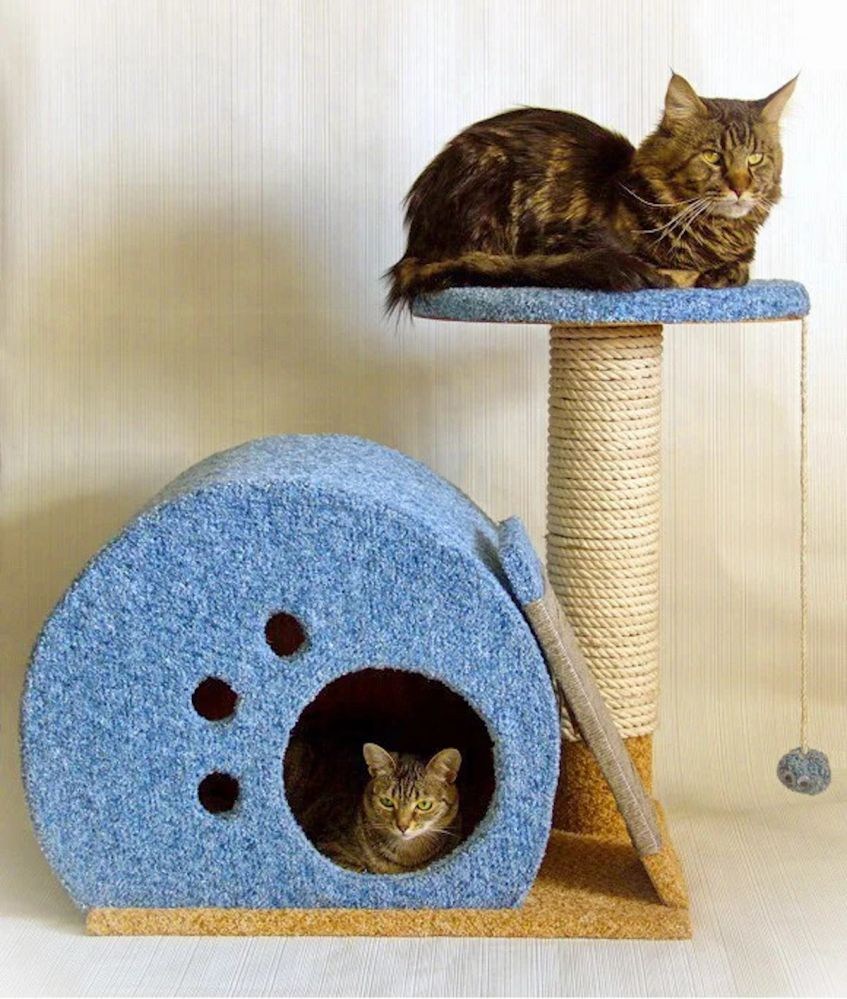 домики для котов фото