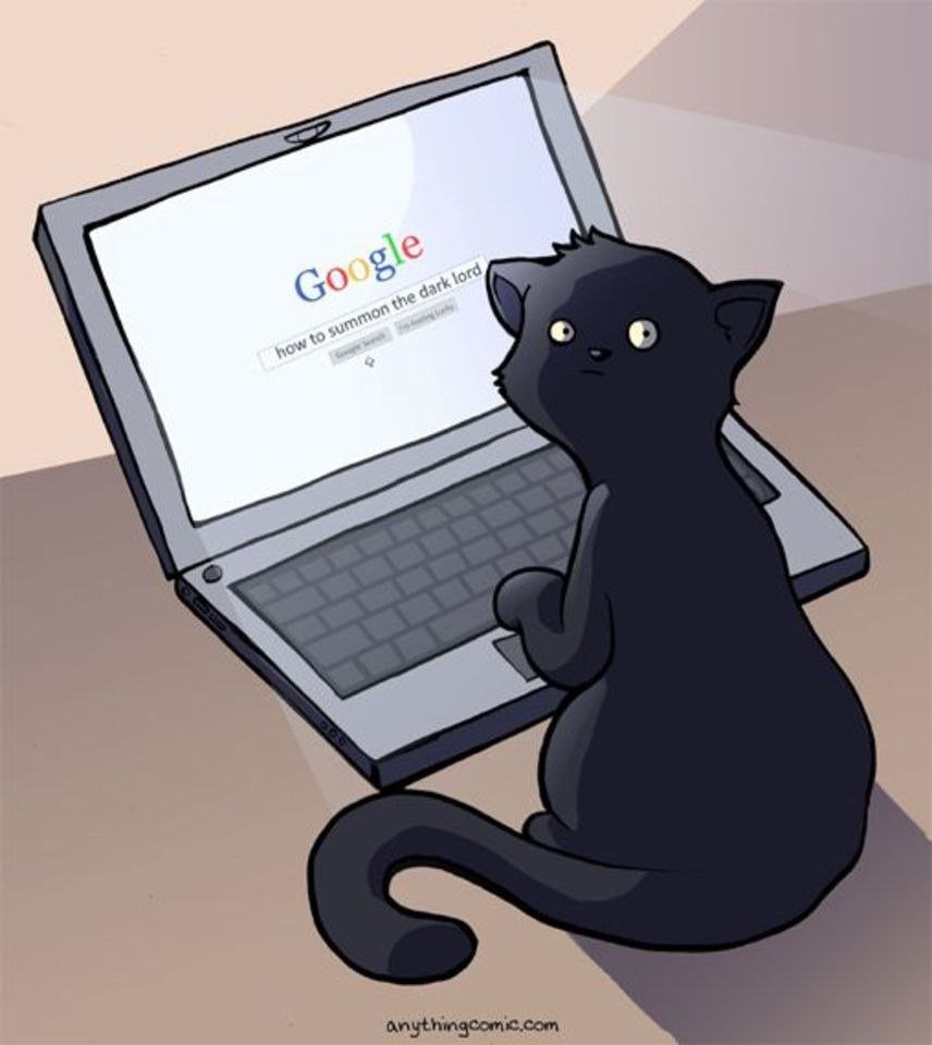 Кошка программист