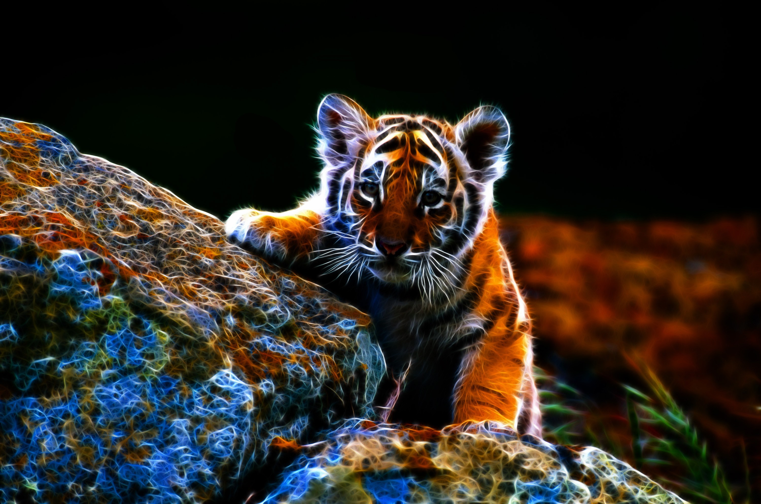 Закачать ее на телефон. Тигр. Тигрята. Тигр картинки. Самые красивые тигры.