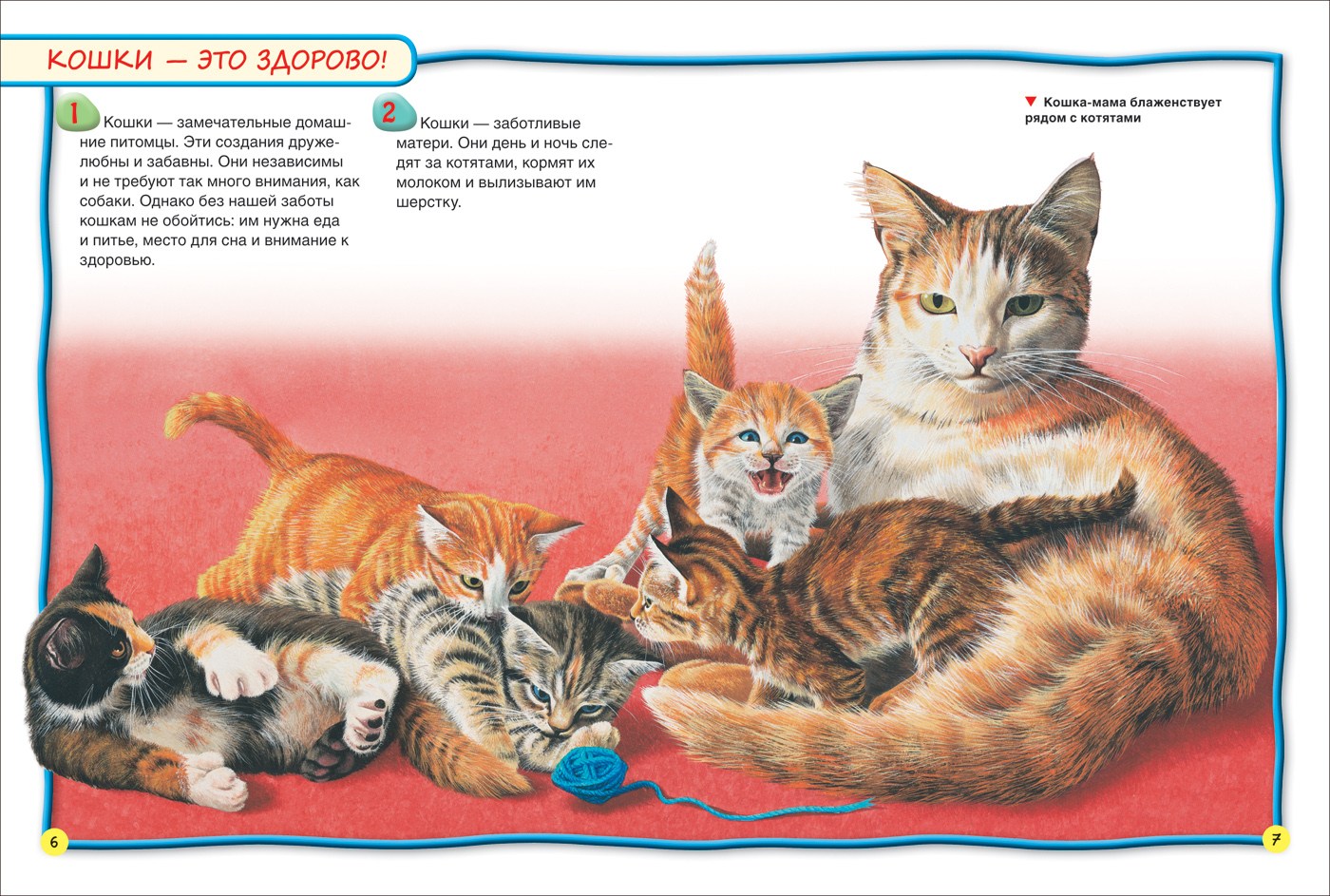 Кошка с котятами для детей на прозрачном фоне (43 фото)