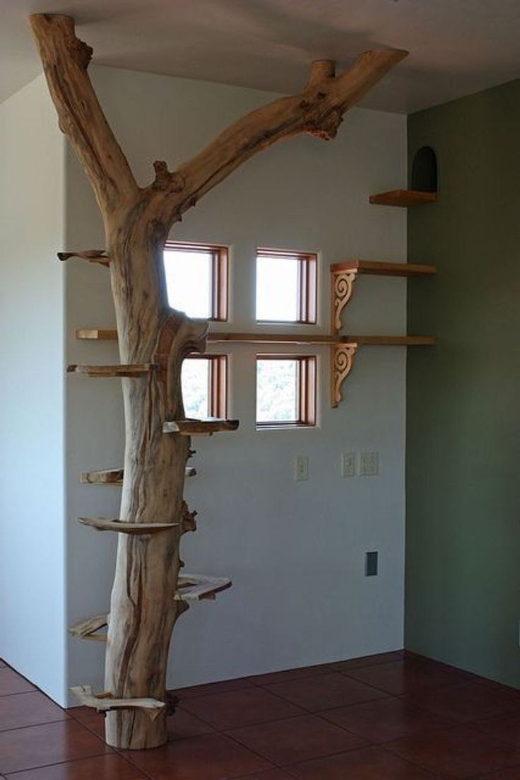 дерево на стене в интерьере с полками