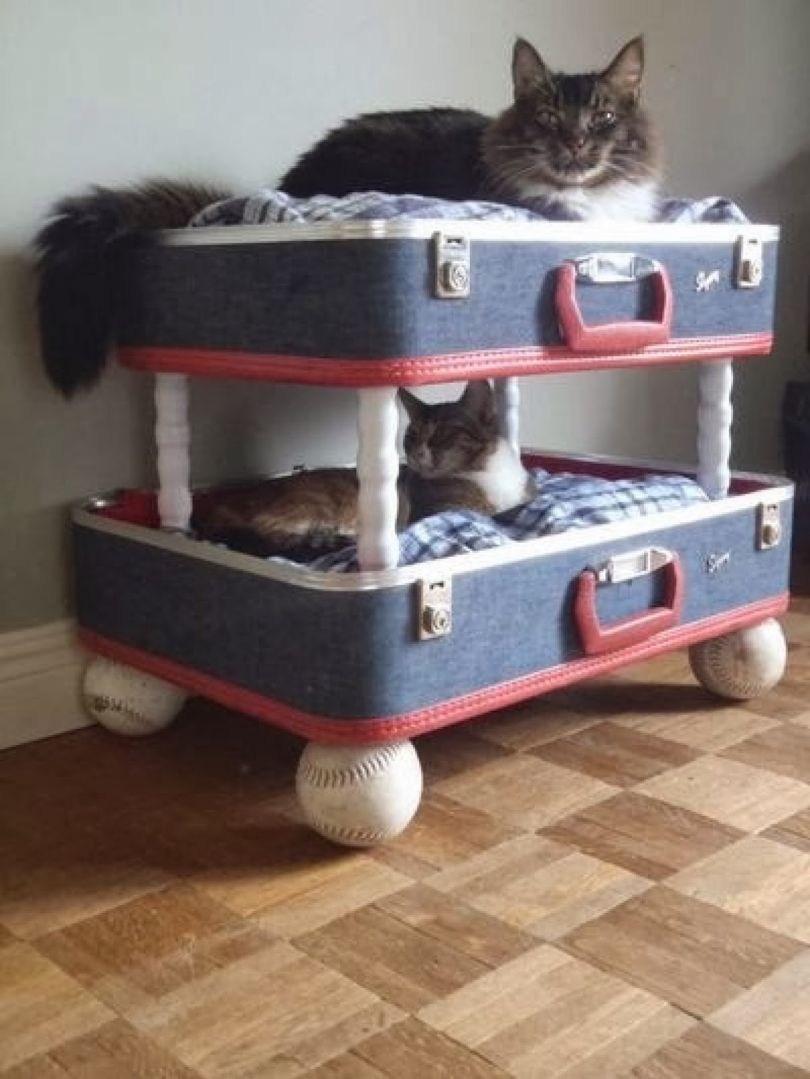 Кровать для кошки из коробки