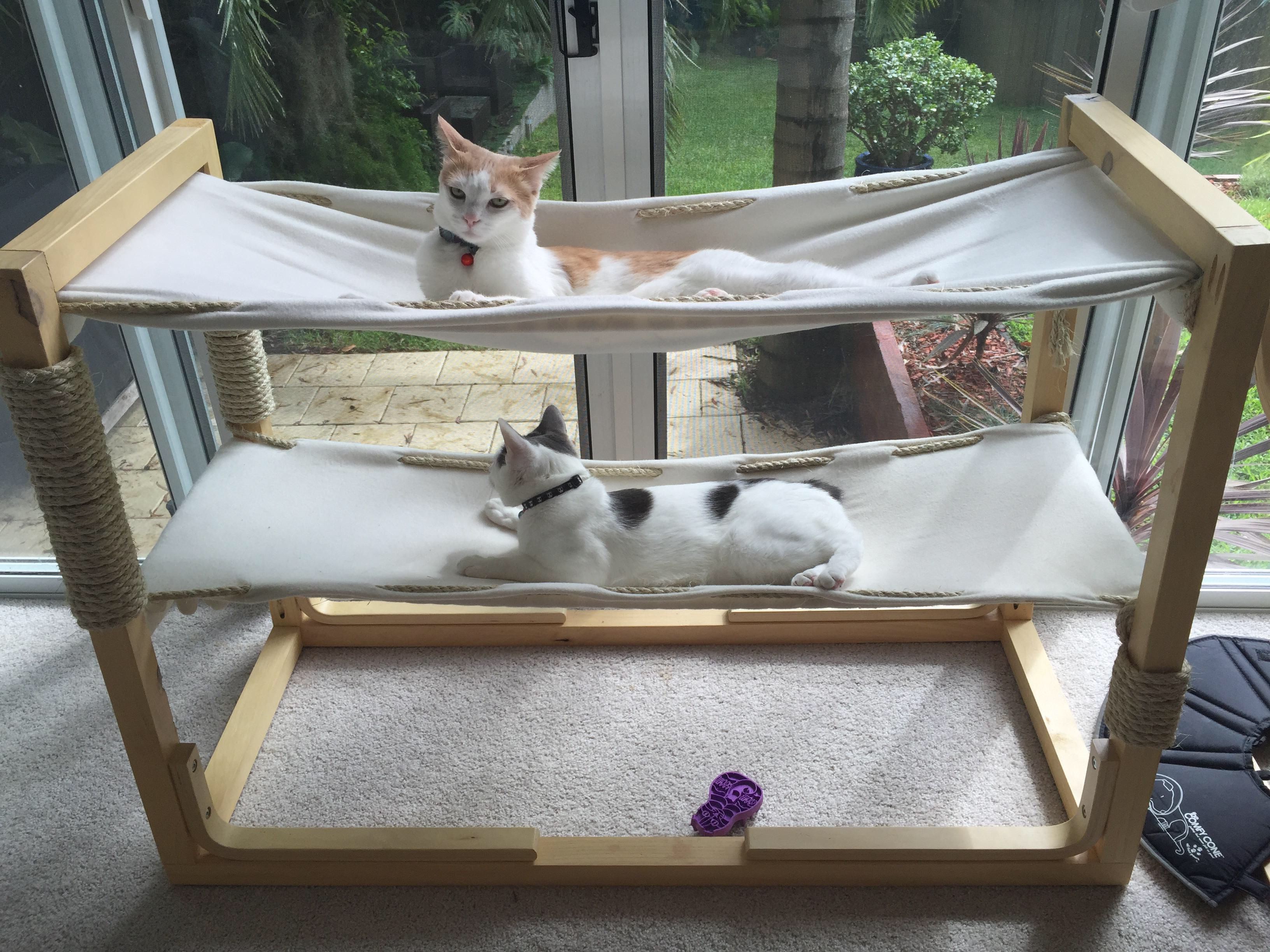 Самодельные домики для кошек