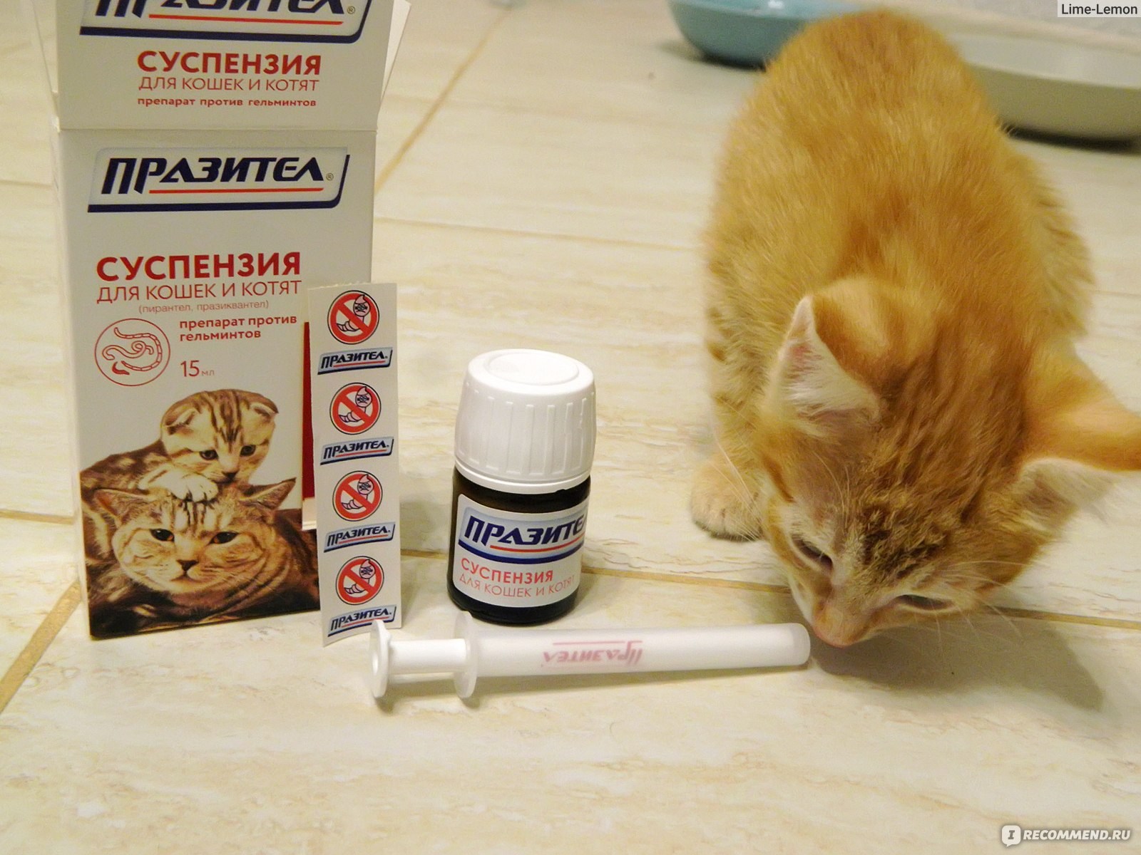 Как часто дают таблетки от глистов. Паразител суспензия для котят. Празител и Празицид. Празител® суспензия для кошек и котят (флакон 15 мл). Суспензия от глистов для кошек.