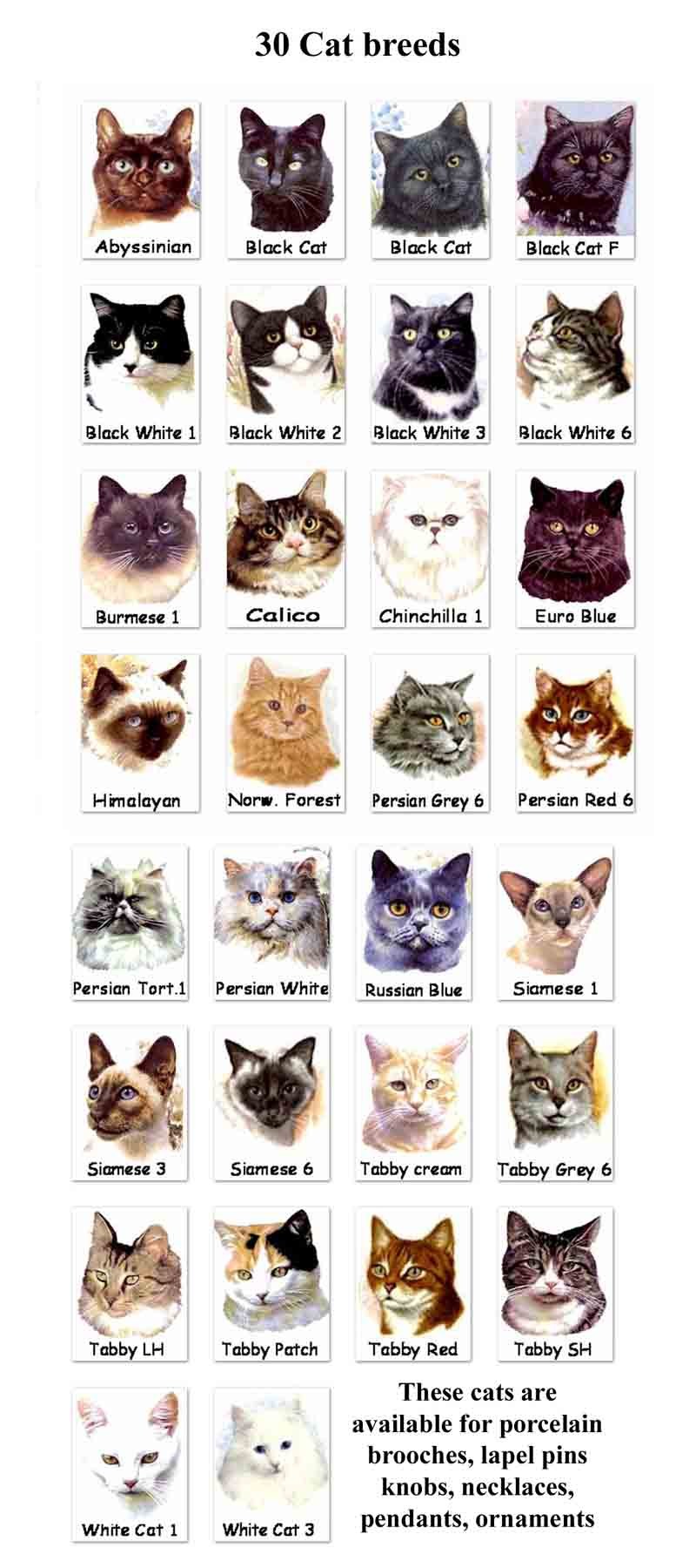 Определение породы по кошки - картинки и фото koshka.top