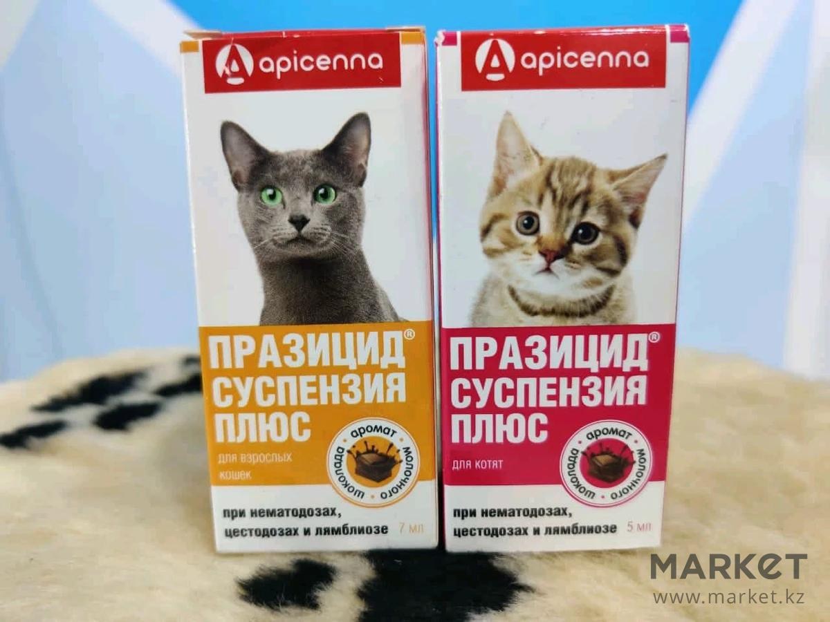 6 коше. Празицид суспензия плюс для кошек. Празицид суспензия для котят. Празицид для rjnznсуспензия. Празицид суспензия плюс для котят.