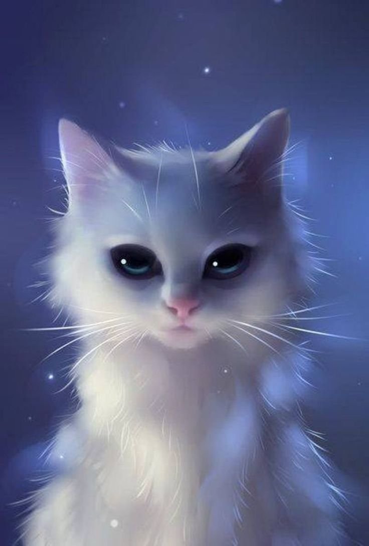 Красивые кошки на аватарку - картинки и фото balagan-kzn.ru