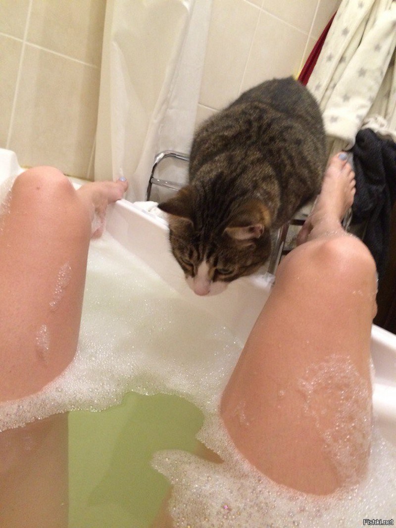 Кот в ванне с девушкой