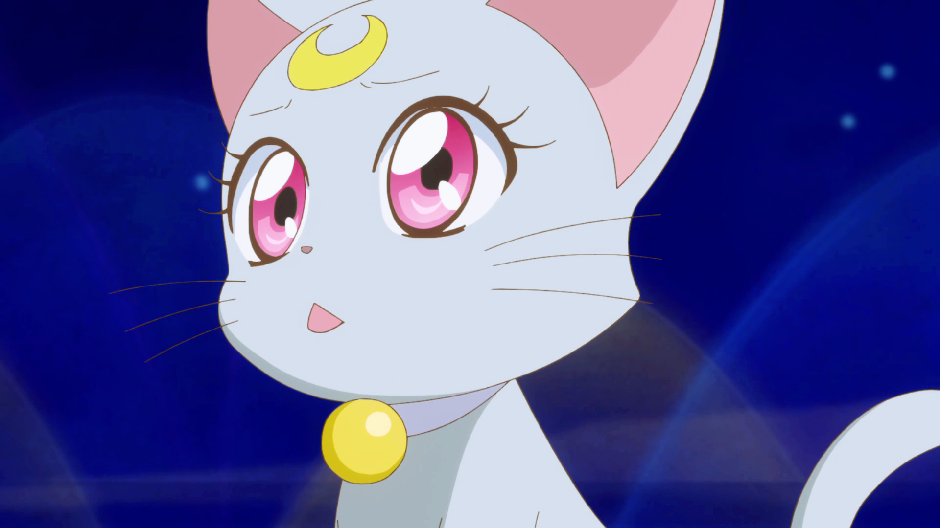 Кошка Луна из Сейлор Мун. Сейлормун кошка Луна. Sailor Moon кот. Сейлор Луна кошка. Кот мун