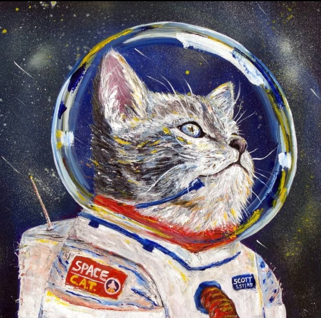 Фелисетт кошка космонавт