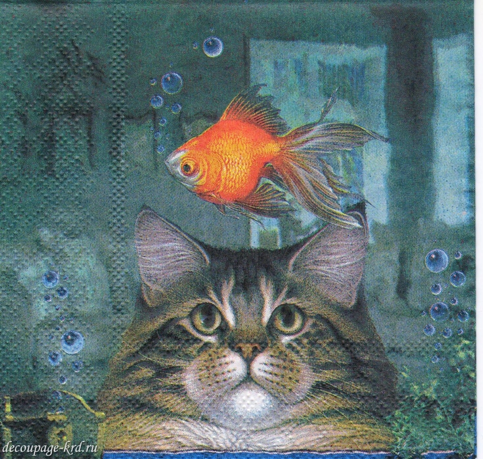 Смешные коты акварель
