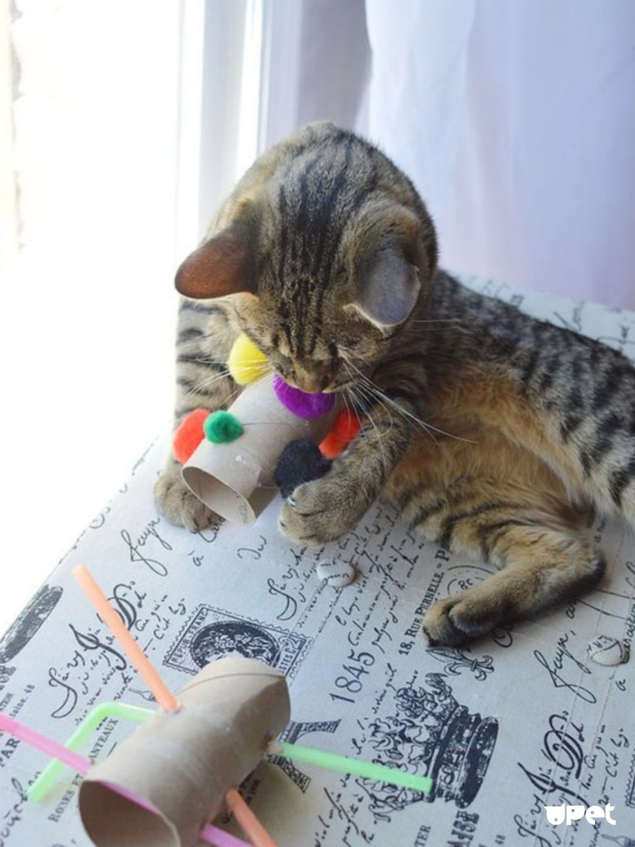Самодельные игрушки для котов