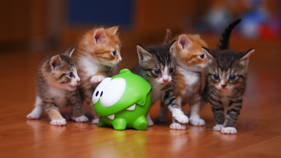 Белая кошка с котятами