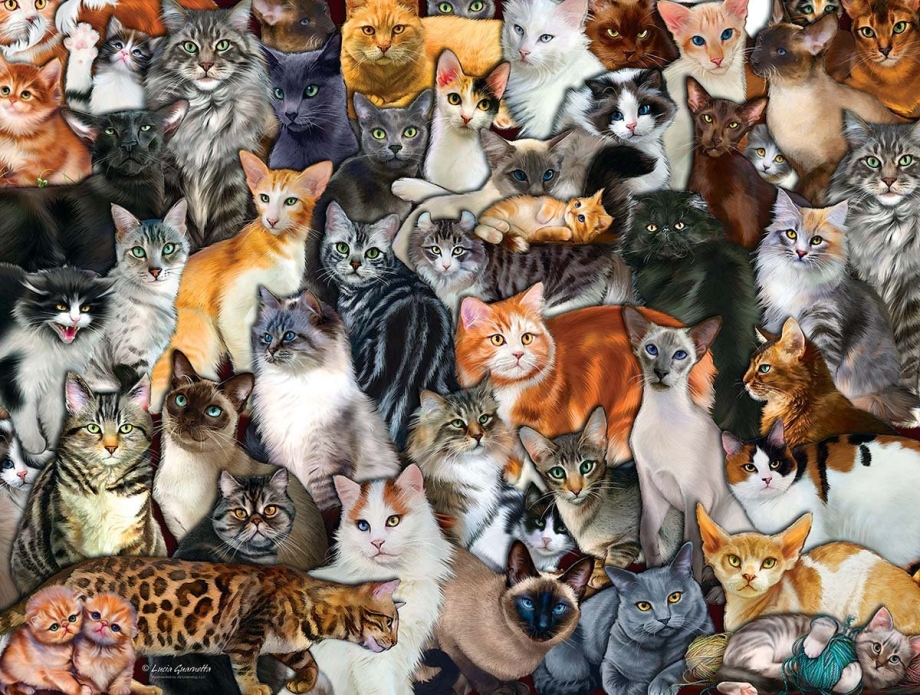 Котята рождаются слепыми