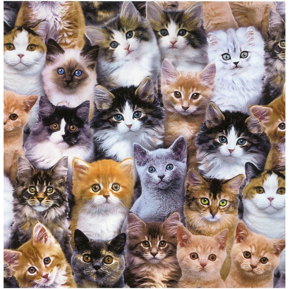 Коты лежат много