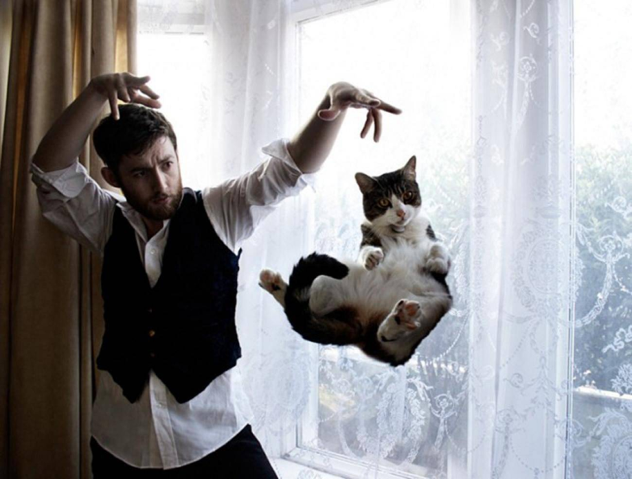 Кликер Cat activity (Trixie)