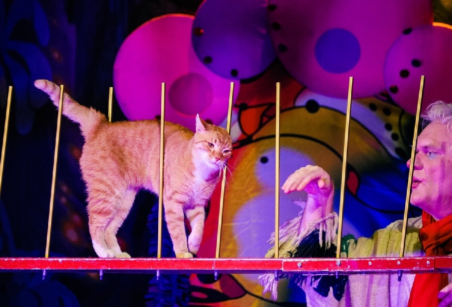 Юрий куклачёв театр кошек
