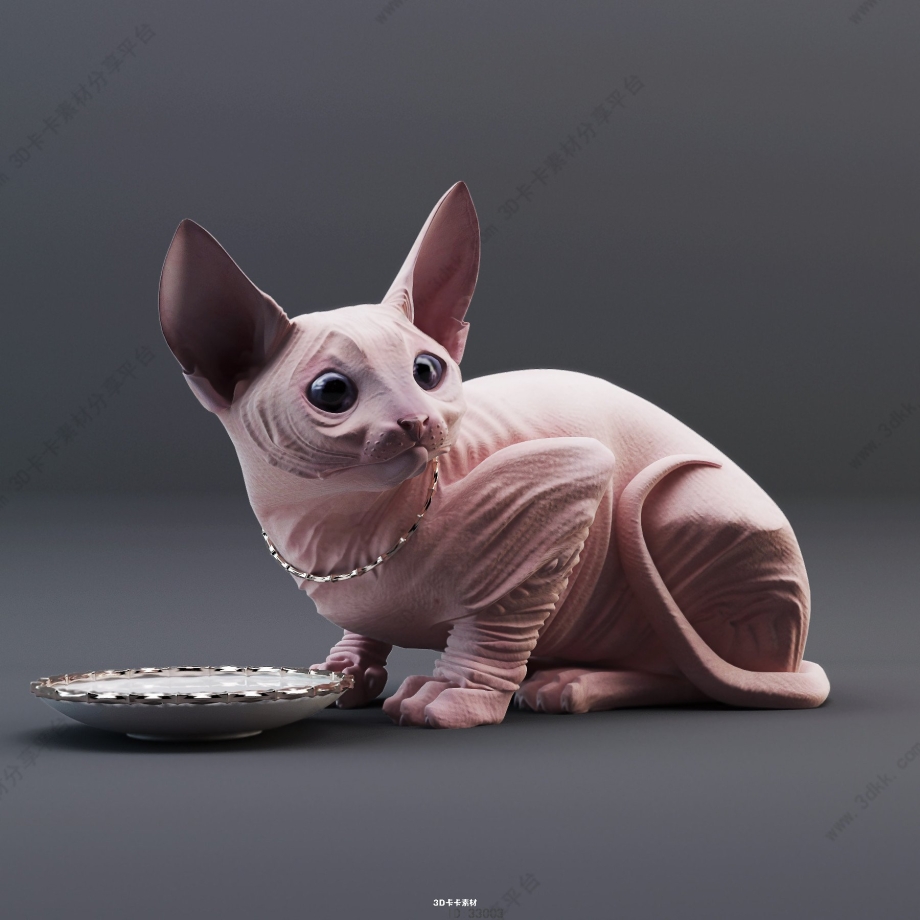 Sphynx Cat Cat 3 d модель