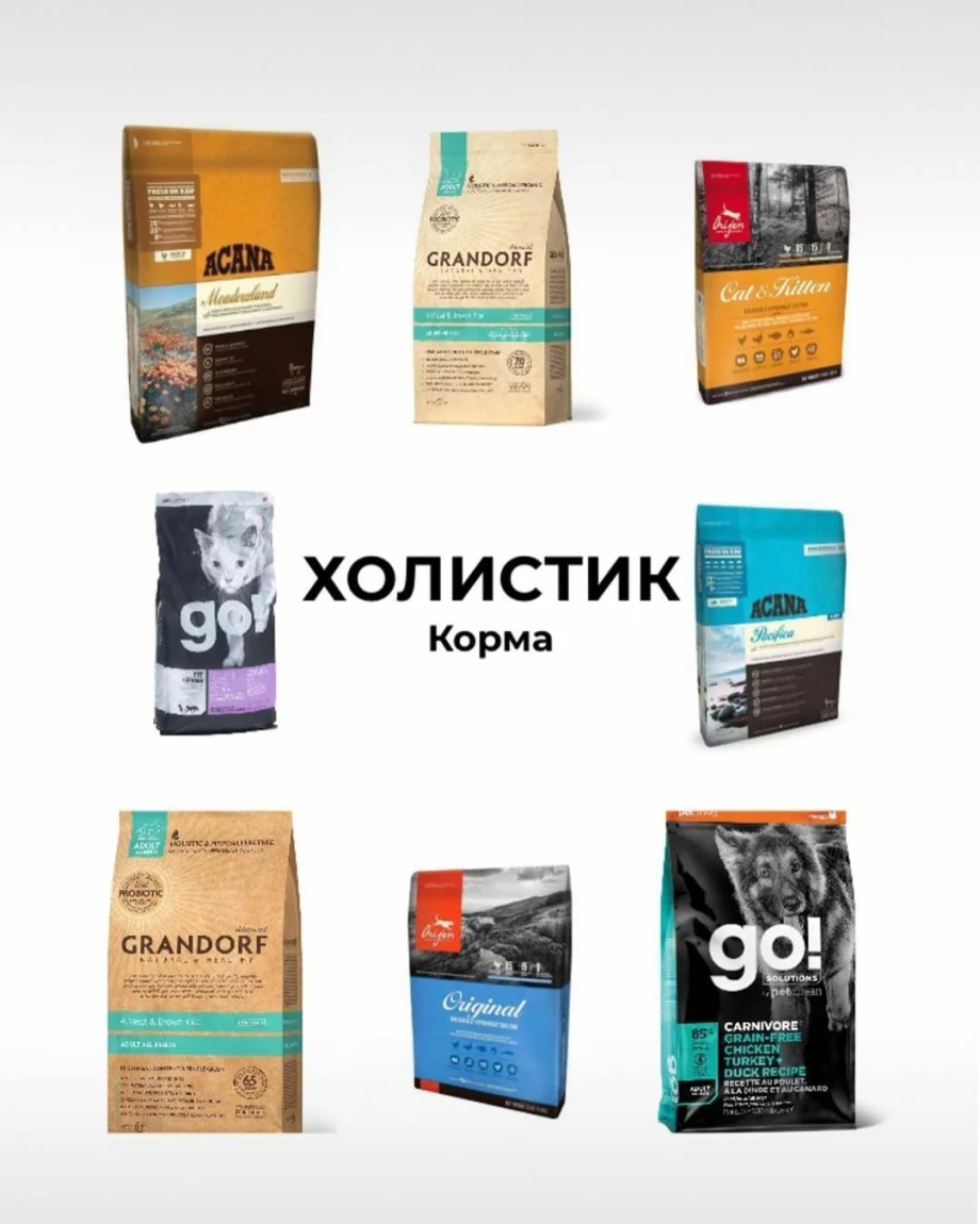 Корма для кошек холистик класса
