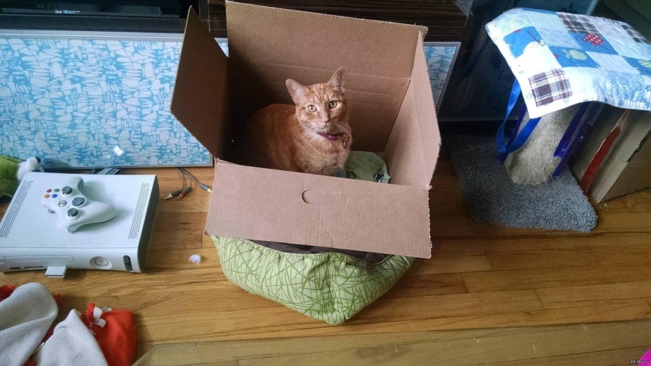 Коробка лежанка для кота