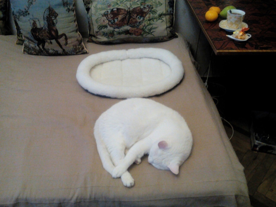 Деревянная кровать для кота
