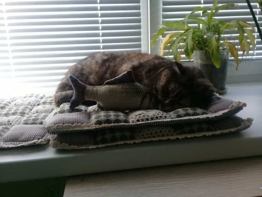 Лежак для кошки с котятами