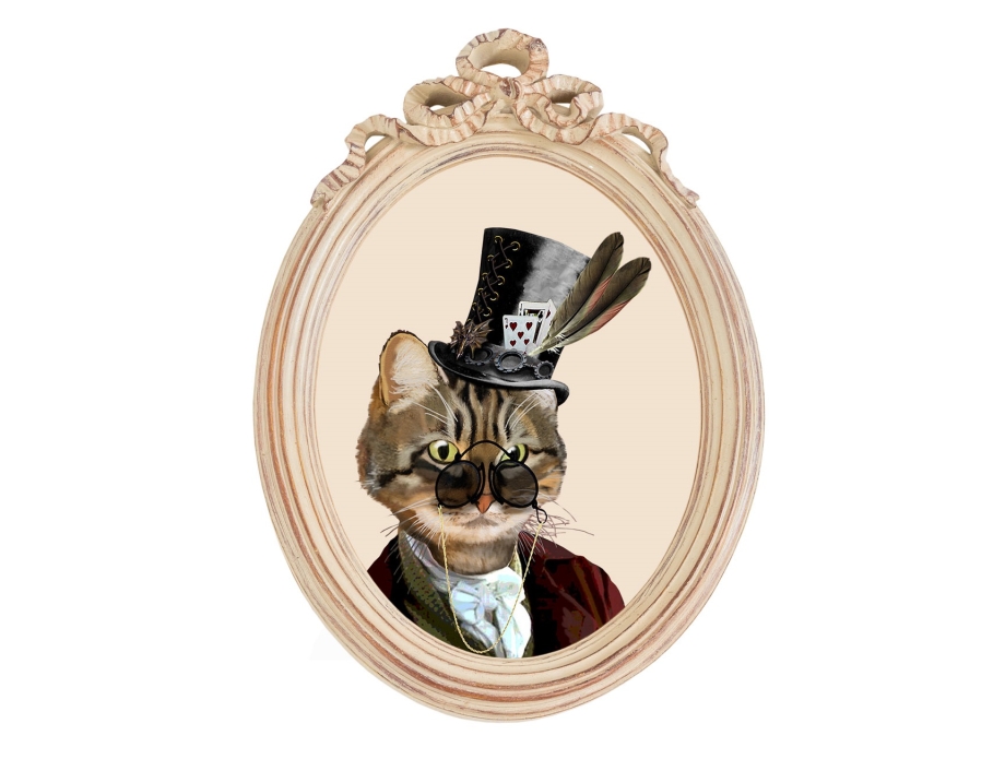 Кот в пиджаке